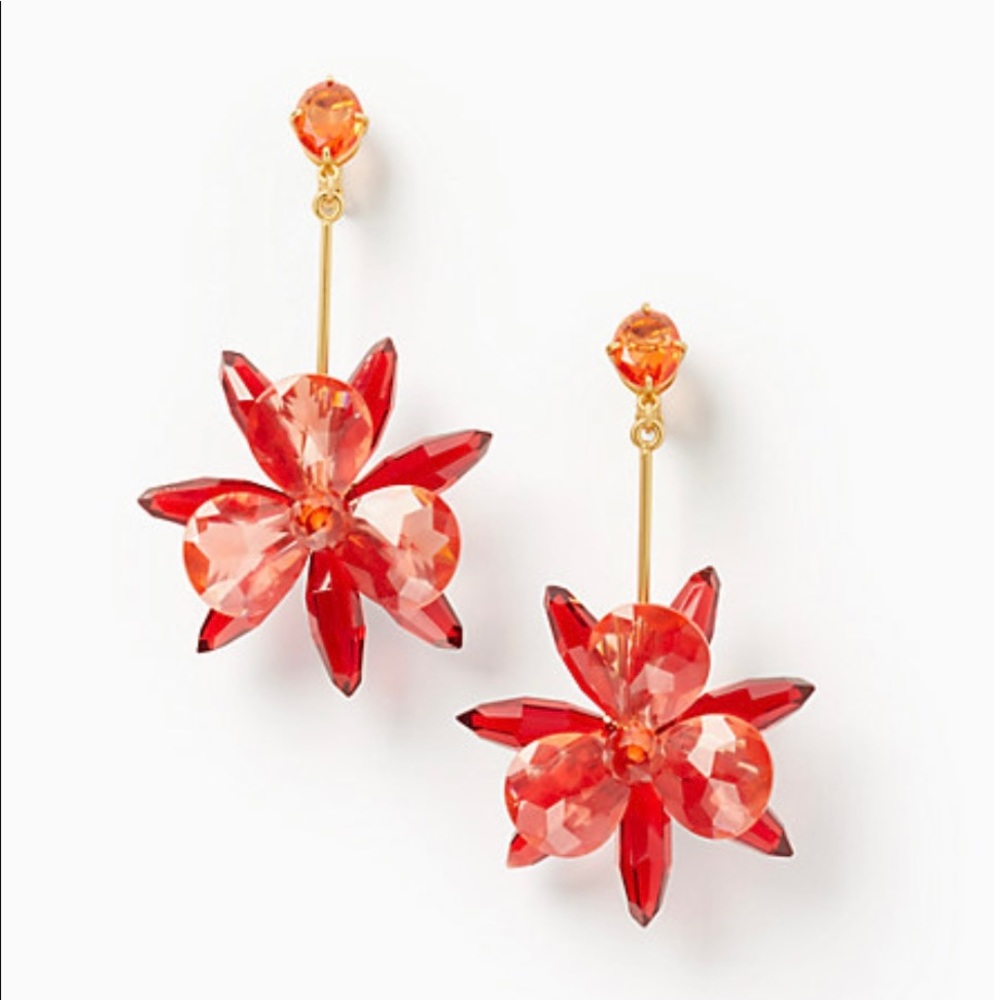 Kate Spade Earrings
